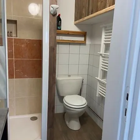 Joli Loft Renove Apartment