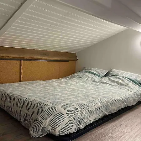 Joli Loft Renove Apartment Payre